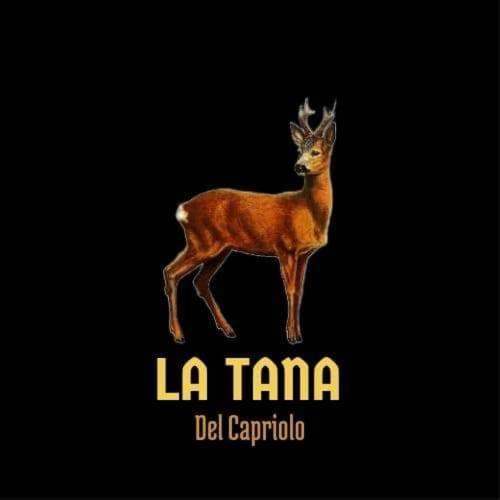 Апартаменты La Tana Del Capriolo Prati di Tivo Экстерьер фото
