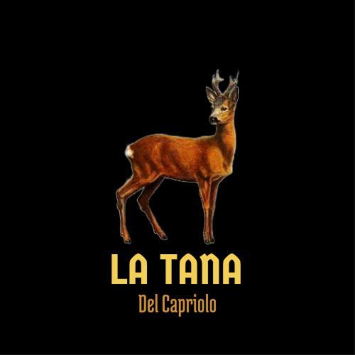 Апартаменты La Tana Del Capriolo Prati di Tivo Экстерьер фото